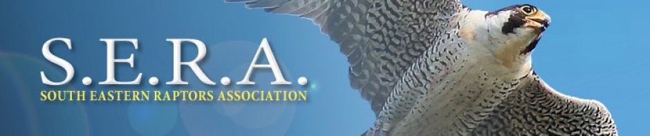 South Eastern Raptors Association